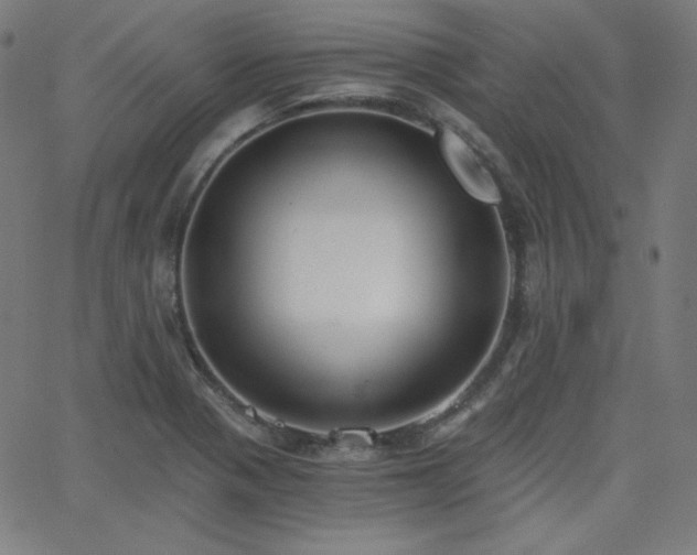 X0000068761321200604281202