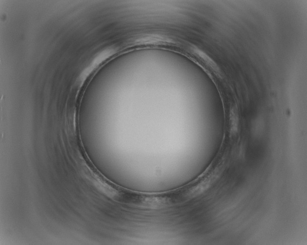 X0000068761322200604281202
