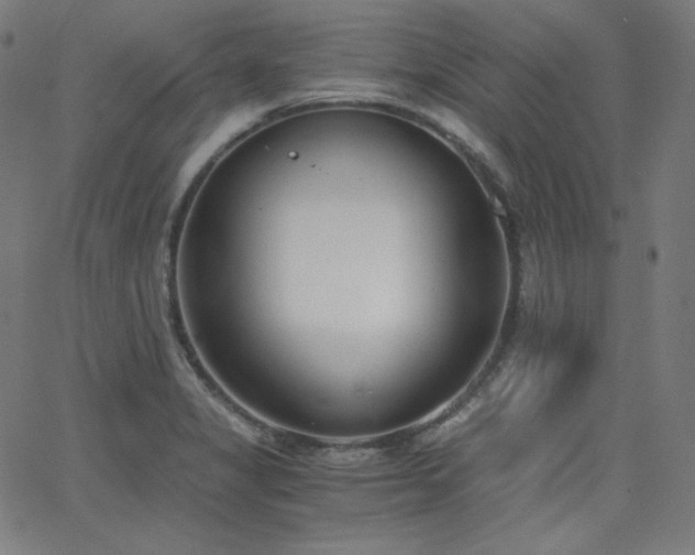 X0000068761325200604281202
