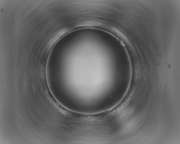 X0000068761329200604281202