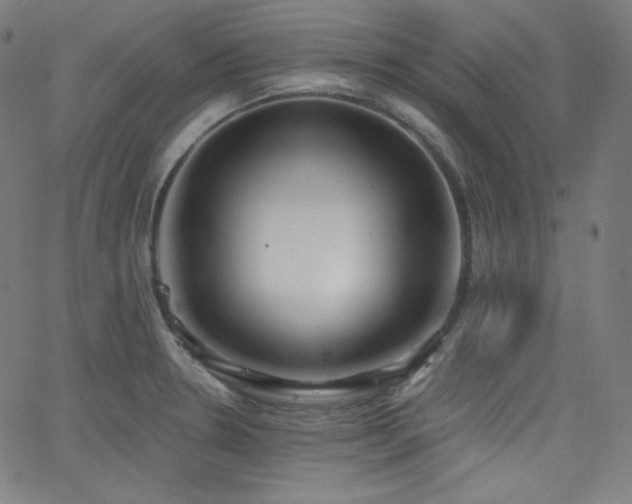 X0000068761330200604281203