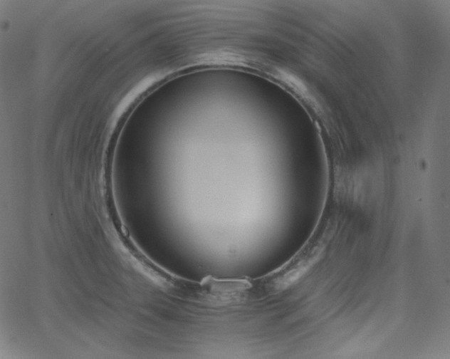 X0000068761331200604281203