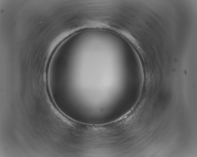 X0000068761335200604281203