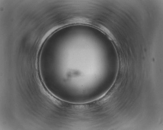 X0000068761339200604281203