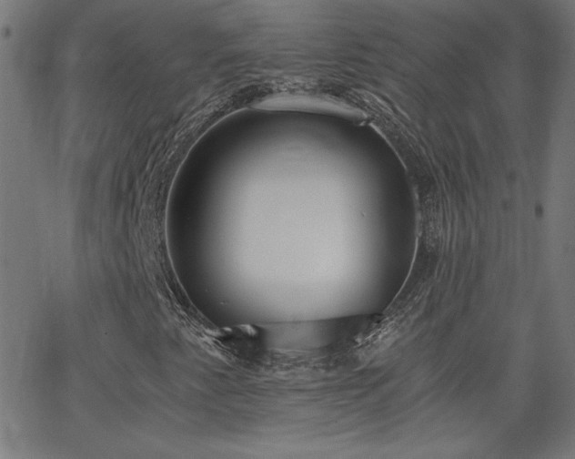 X0000068761345200604281202