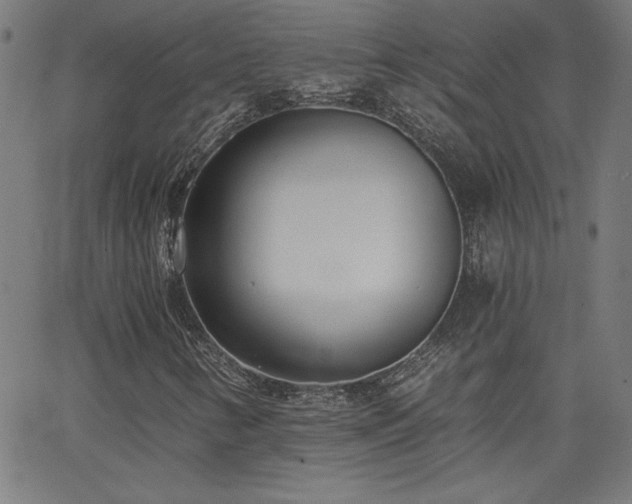 X0000068761346200604281202