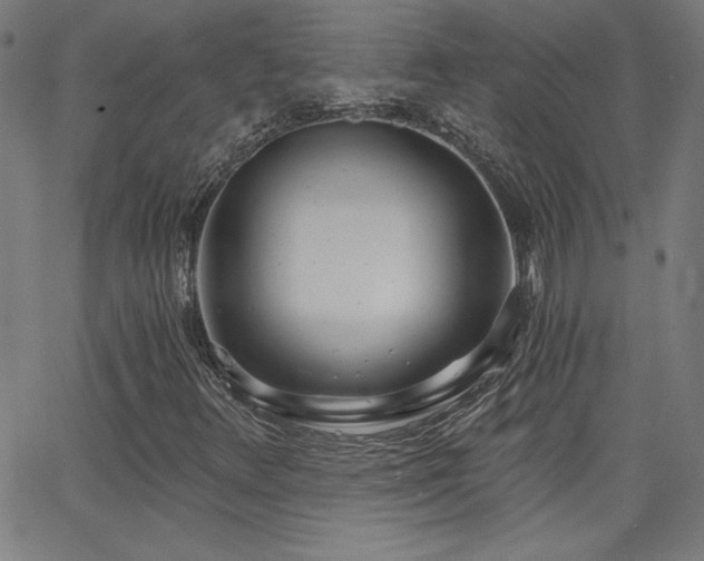 X0000068761348200604281202