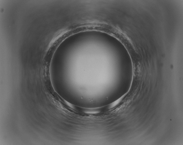 X0000068761352200604281202