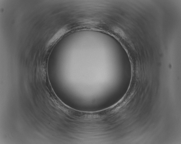 X0000068761354200604281202