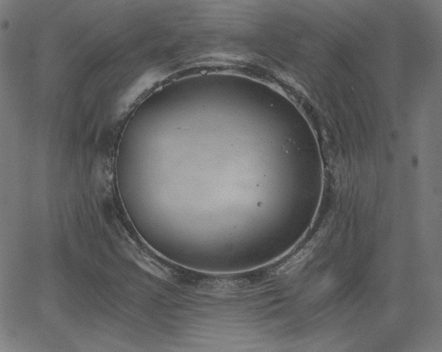 X0000068761355200604281202