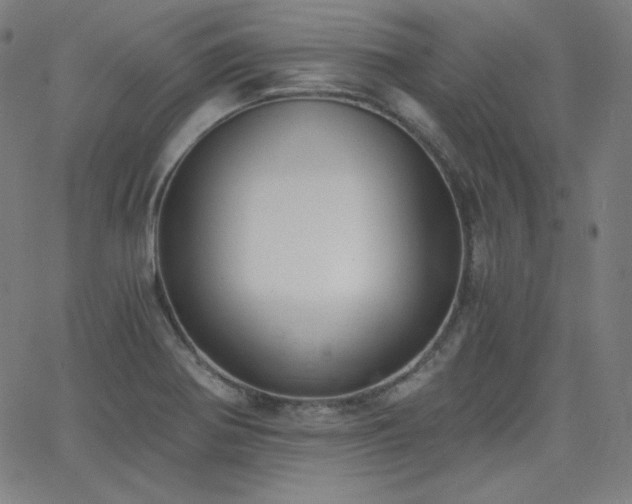 X0000068761370200604281202