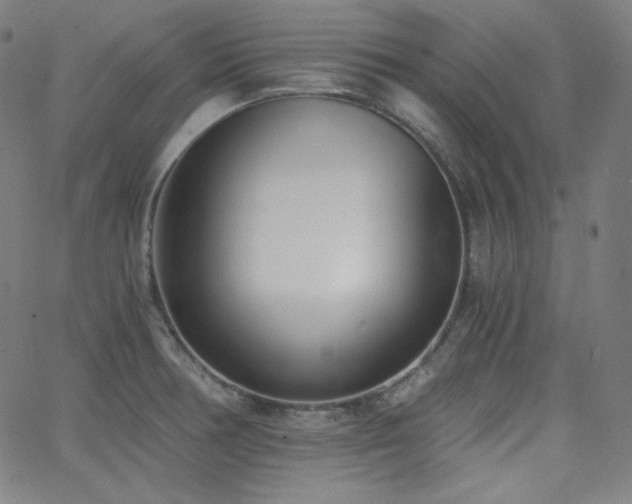 X0000068761378200604281201