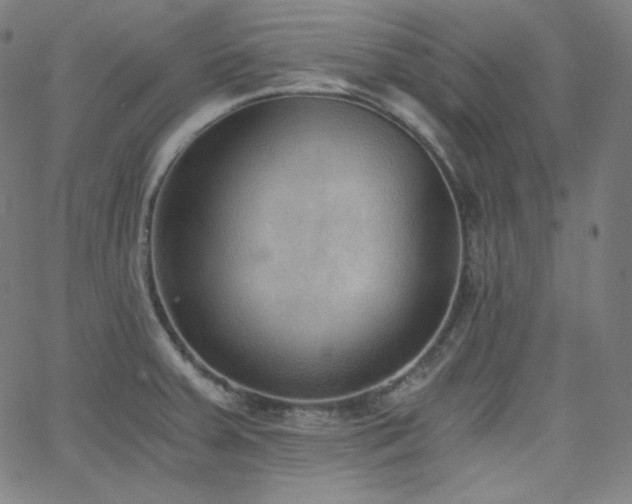 X0000068761379200604281201