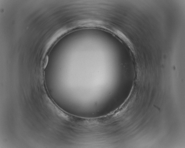 X0000068761384200604281201