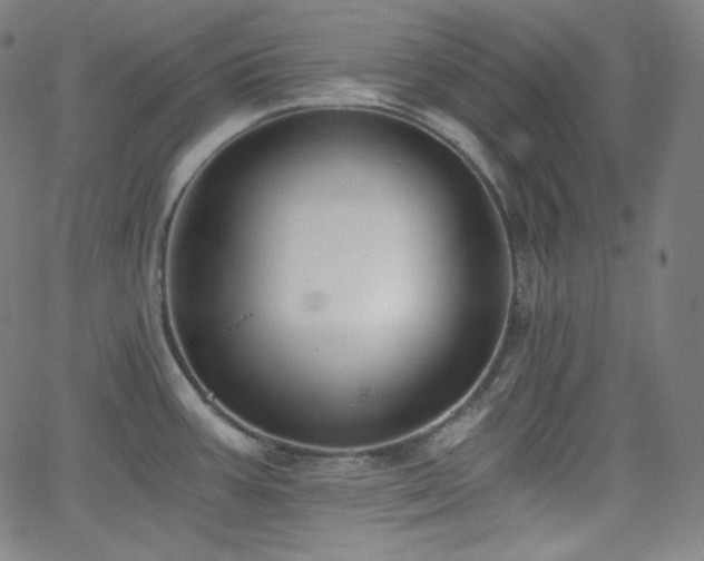 X0000068761387200604281201