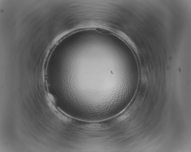 X0000068761388200604281201