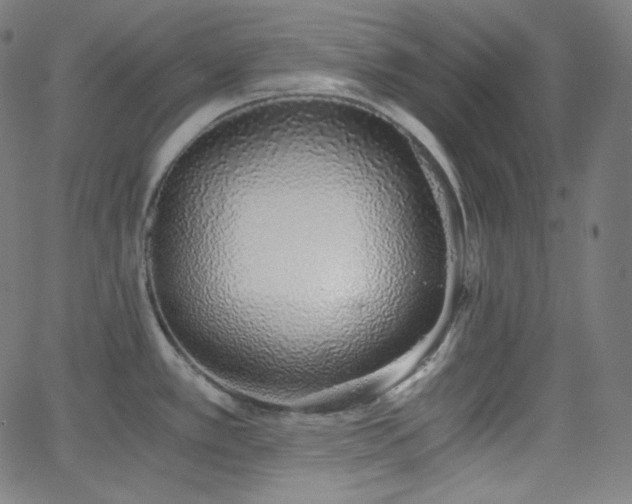 X0000068761389200604281201