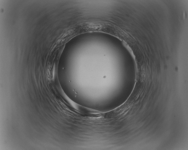 X0000068761394200604281200