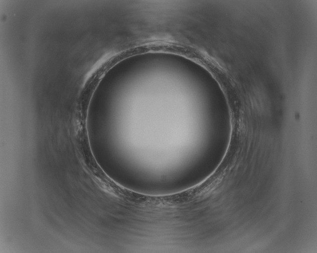 X0000068761400200604281201