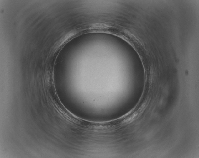 X0000068761401200604281201