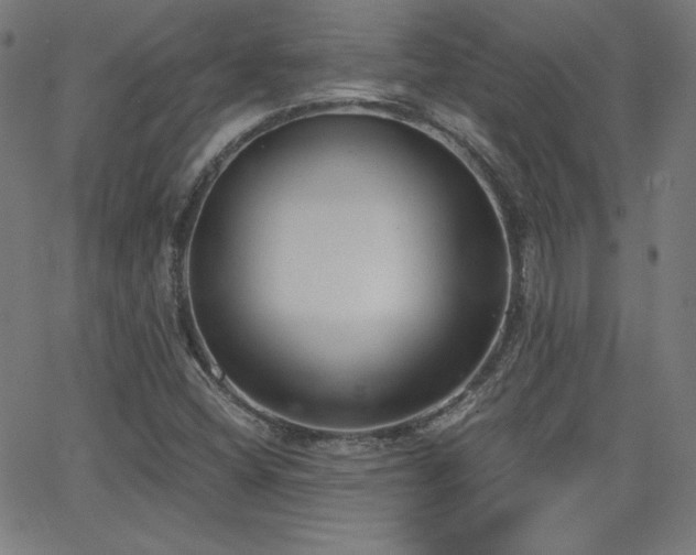 X0000068761404200604281201
