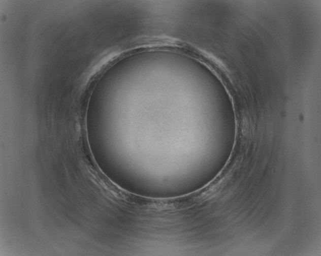 X0000068761407200604281201