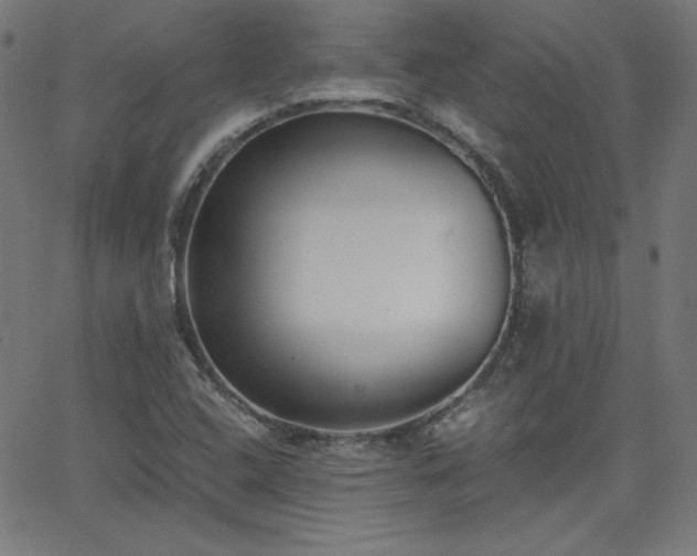 X0000068761408200604281201