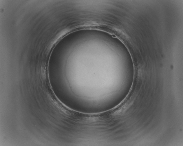 X0000068761409200604281201