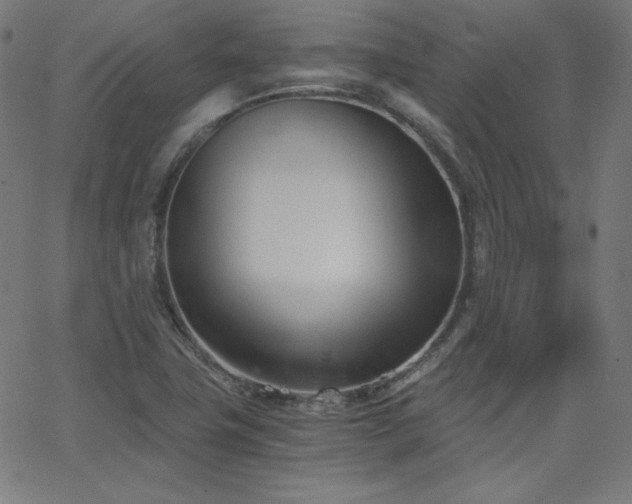 X0000068761411200604281201