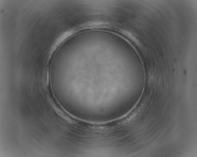 X0000068761413200604281201