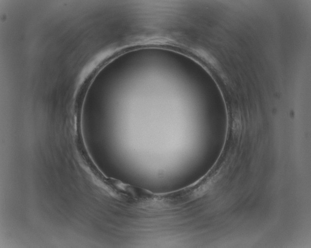 X0000068761414200604281201