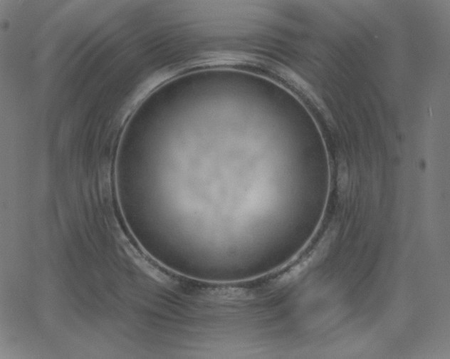 X0000068761417200604281201