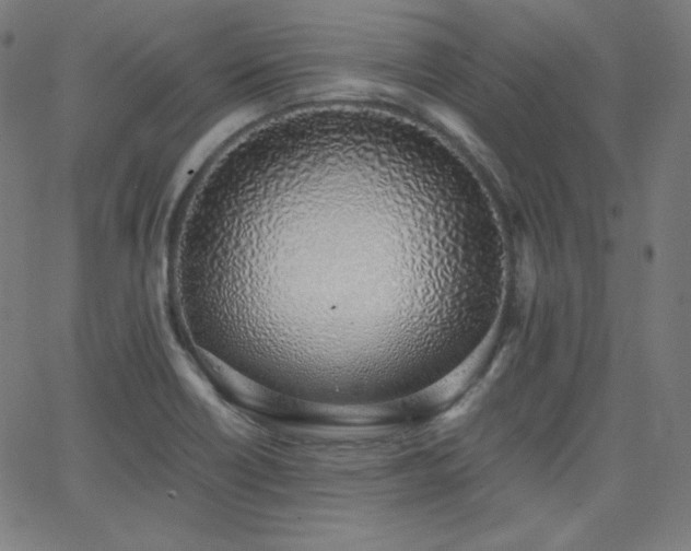 X0000068761418200604281201