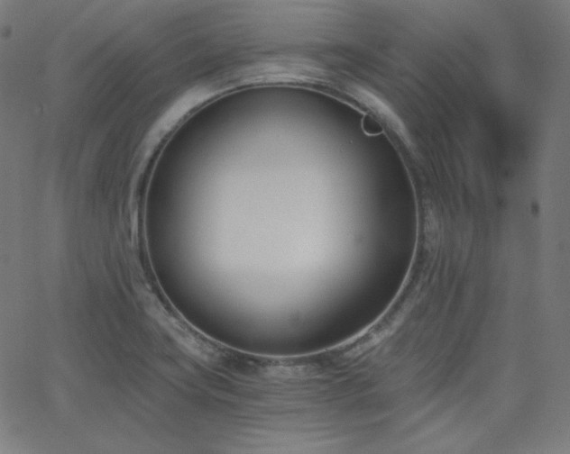 X0000068761419200604281201