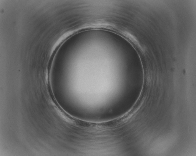 X0000068761420200604281201