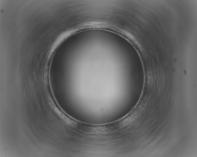 X0000068761421200604281201