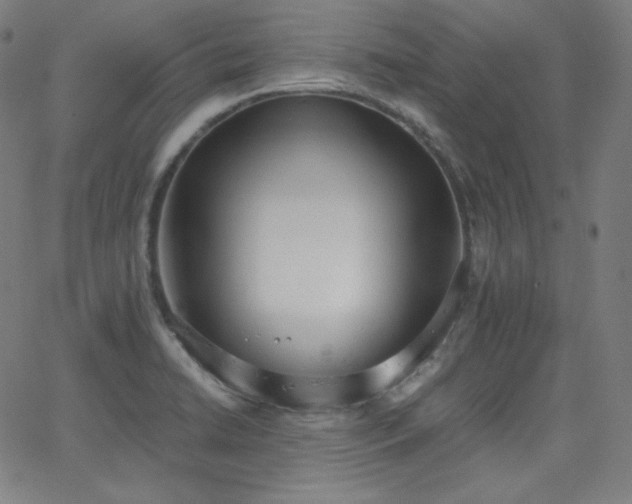 X0000068761422200604281201
