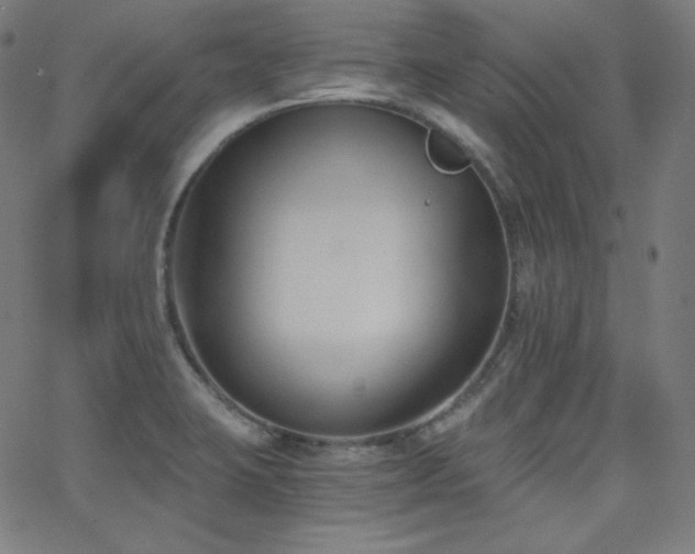 X0000068761423200604281201