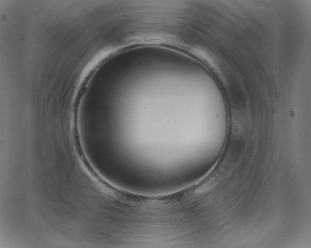 X0000068761424200604281201