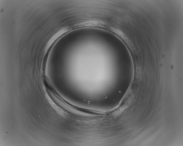 X0000068761426200604281201