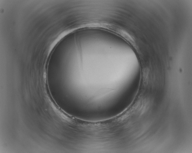 X0000068761428200604281201