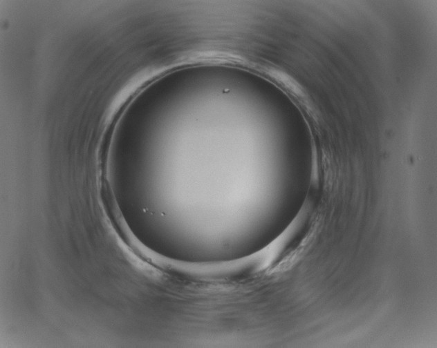 X0000068761430200604281201