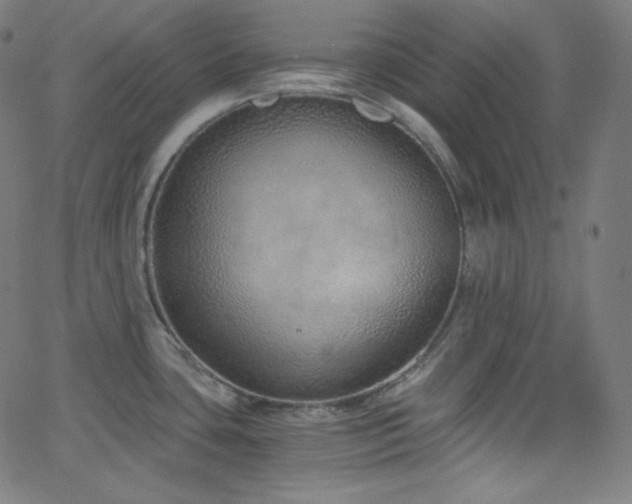 X0000068761435200604281201