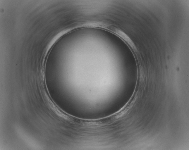 X0000068761436200604281201