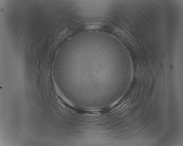 X0000068761441200604281200