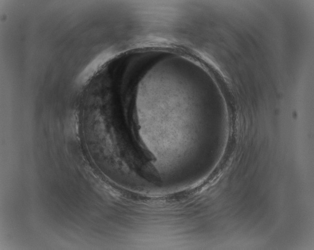X0000068761455200604281200