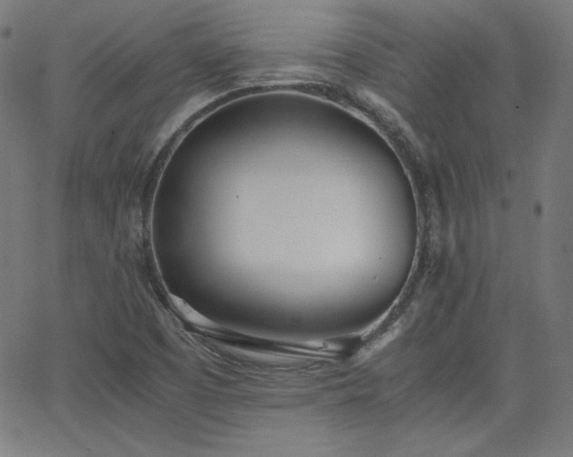 X0000068761457200604281200