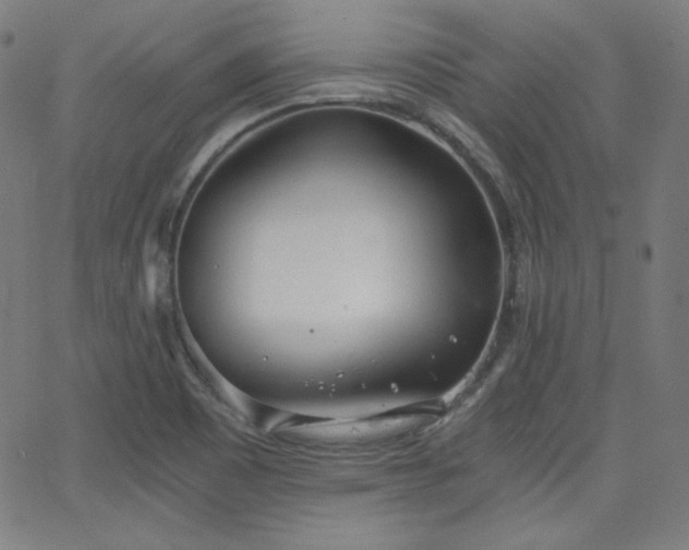 X0000068761465200604281200