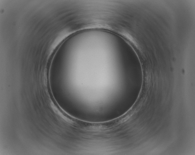 X0000068761468200604281200
