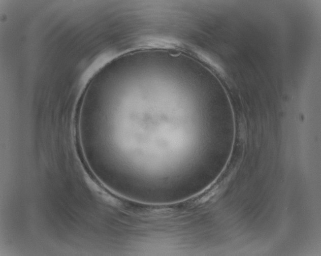 X0000068761471200604281200